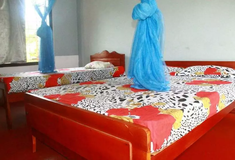 ペンション Tony S Garden House Back Packers Inn