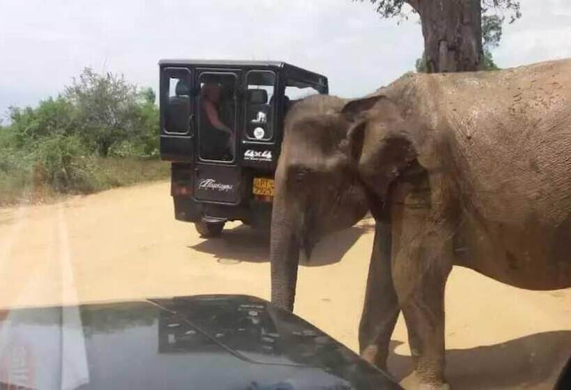 پانسیون Wildlife Safari House