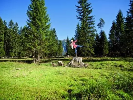 Отель Alpenperle