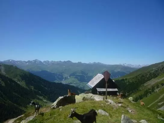 Bauernhof Gundelerhof