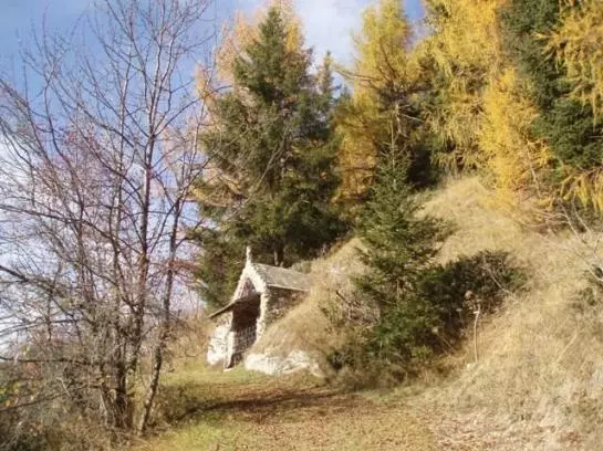 Bauernhof Gundelerhof