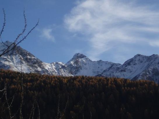 Bauernhof Gundelerhof