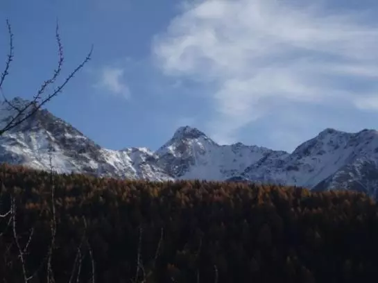 Bauernhof Gundelerhof