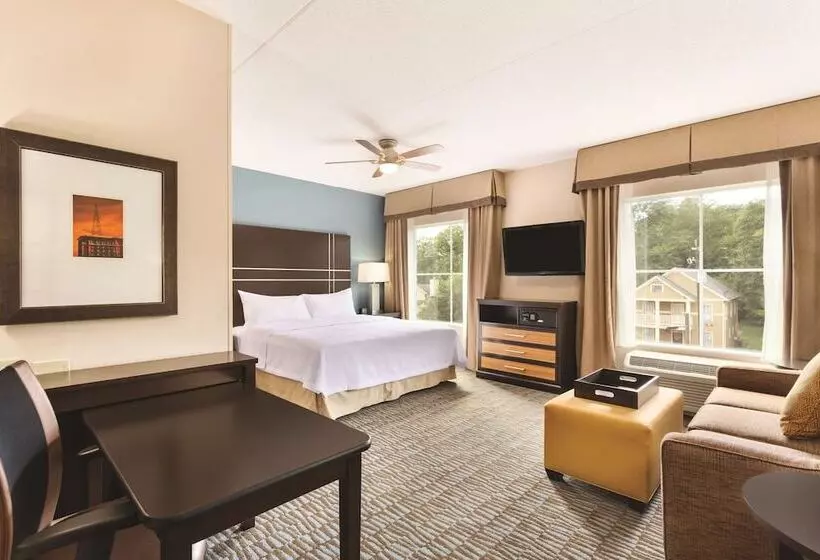 酒店 Homewood Suites Atlanta Airport North