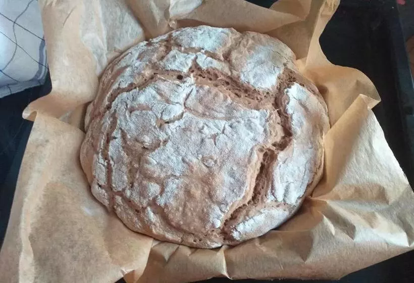 בית מלון כפרי Pension Rainbow