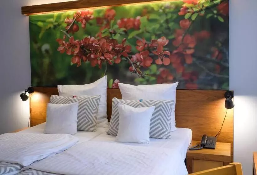 호텔 Szarlota Kompleksowo Na Kaszubach