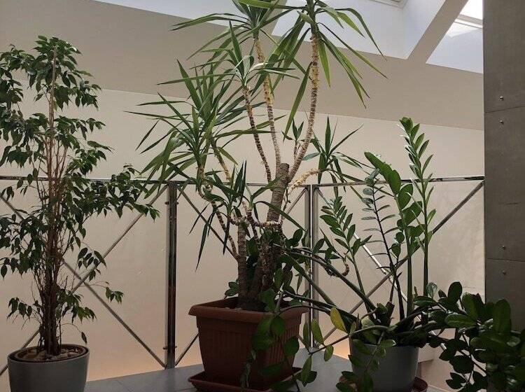 膳宿费 Penzion U Zvonu