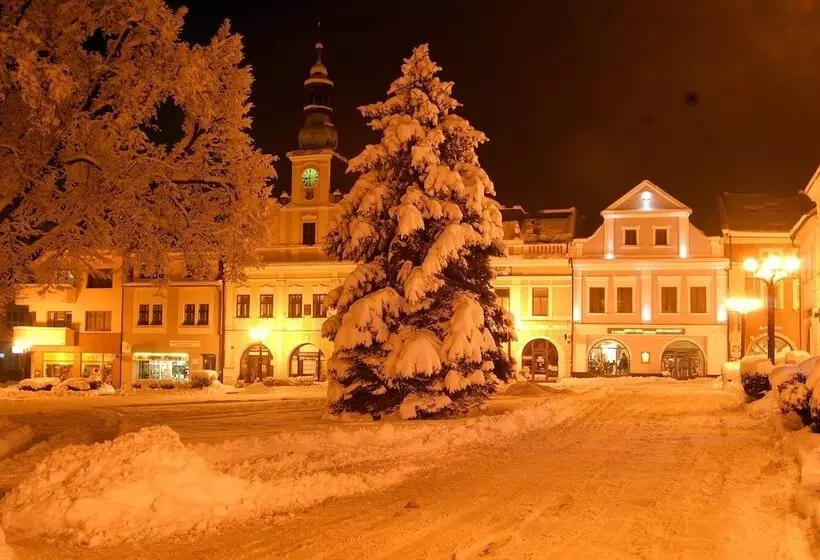 ペンション Penzion U Zvonu