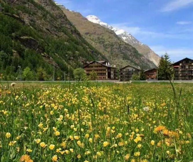 리조트 Walliserhof