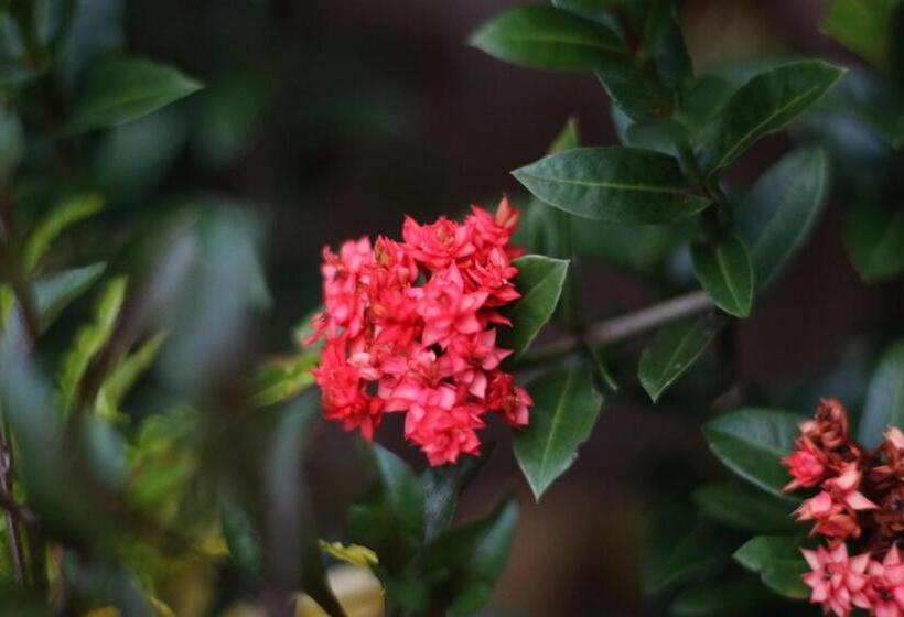 膳宿费 Aji Lodge Bungalow