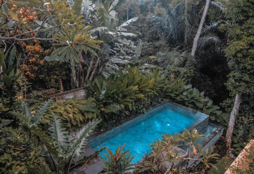 膳宿费 Aji Lodge Bungalow