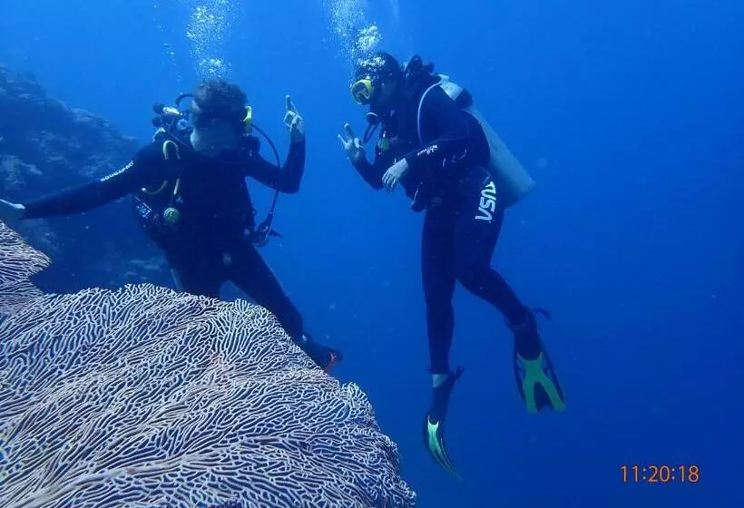 Aamiaismajoitus (B&B) Menjangan View