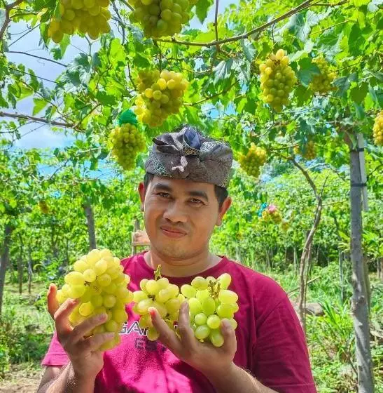 Aamiaismajoitus (B&B) Menjangan View