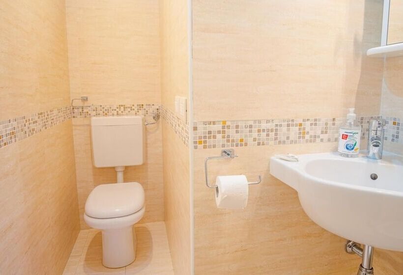 Benaco Domus Antiqua   Italian Homing