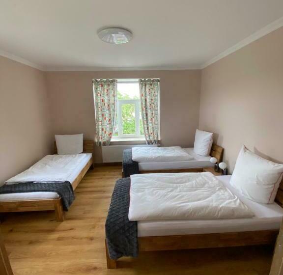 2 Raum Apartment Mit Terrasse, Hell Und Stilvoll