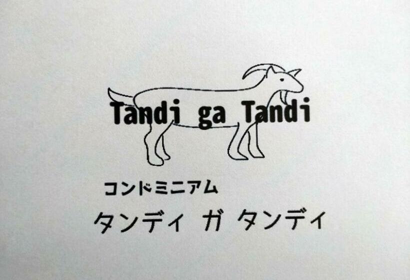 Tandi Ga Tandi Vacation Stay 12993