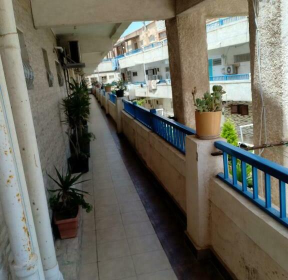 شاطىء المعمورة مجموعة صلاح الدين ب