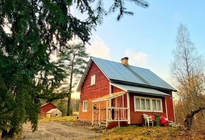 Finnish House Near The Forest