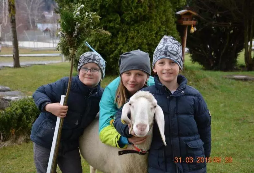 酒店 Apart Pension Wesenauerhof