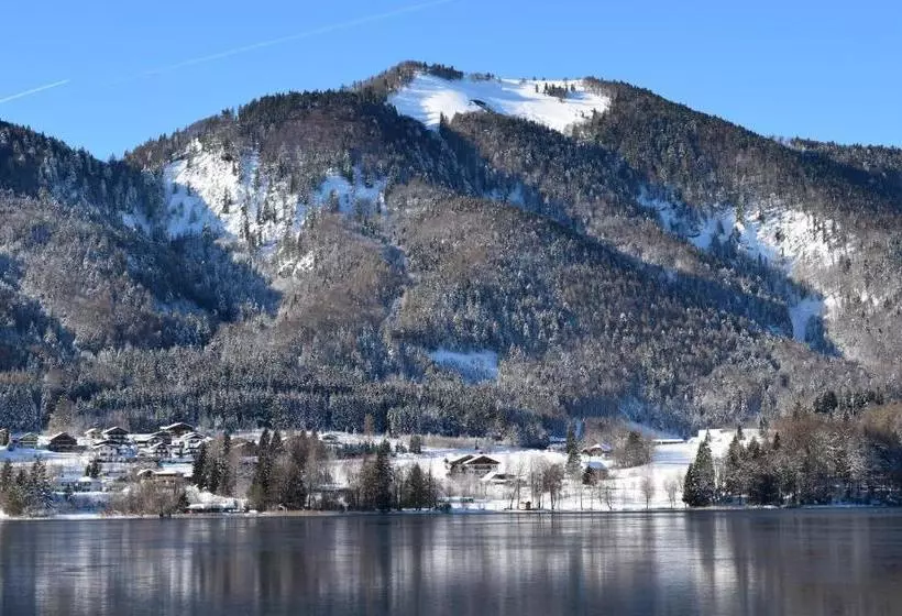 酒店 Apart Pension Wesenauerhof