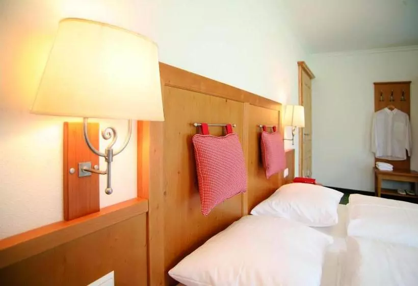 酒店 Apart Pension Wesenauerhof