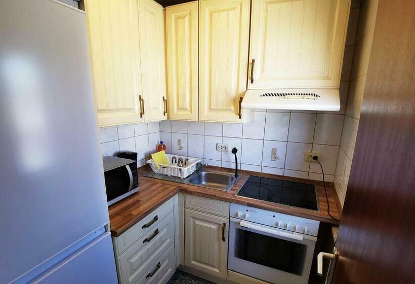 1 Room Apartment In Rodgau Near Frankfurt