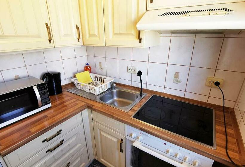 1 Room Apartment In Rodgau Near Frankfurt