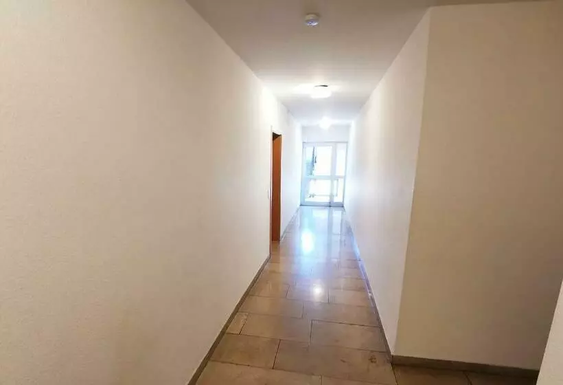 1 Room Apartment In Rodgau Near Frankfurt