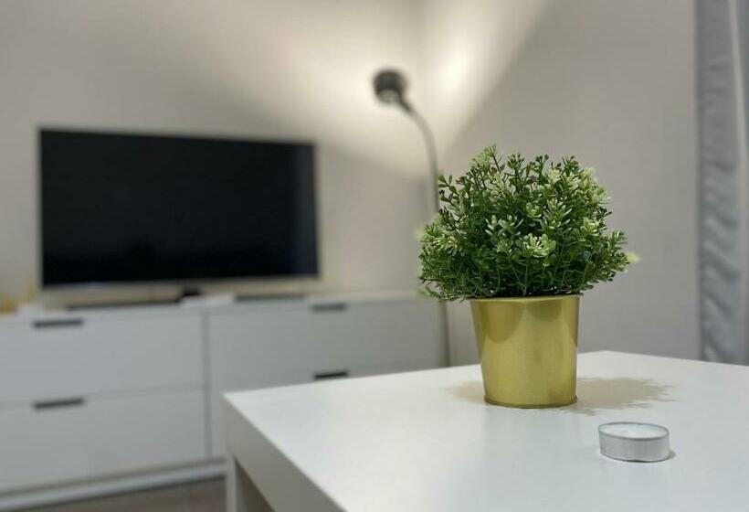 Premium Apartment City Center