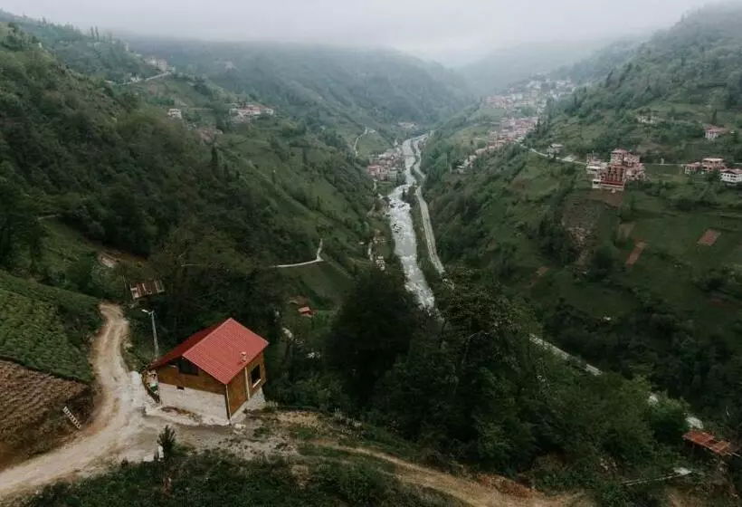 Tepe Dağ Evleri