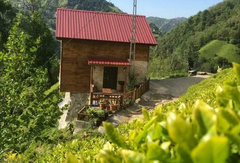Tepe Dağ Evleri