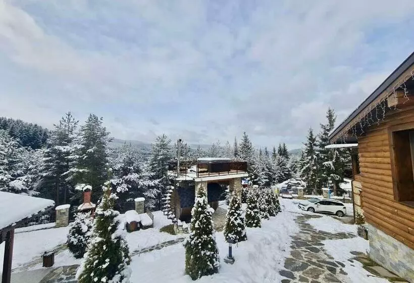 Belvedere Hills