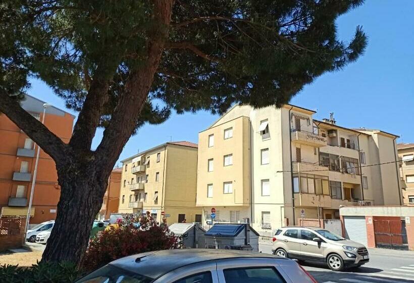 Casa Ilanfra Appartamenti Gabbiano, Farfalla E Stella Marina