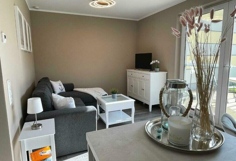 Katerschnute Graal Müritz Küstenwald