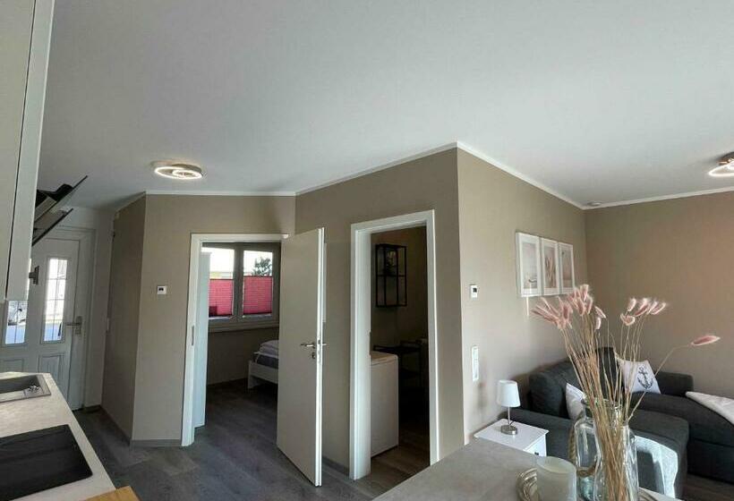 Katerschnute Graal Müritz Küstenwald