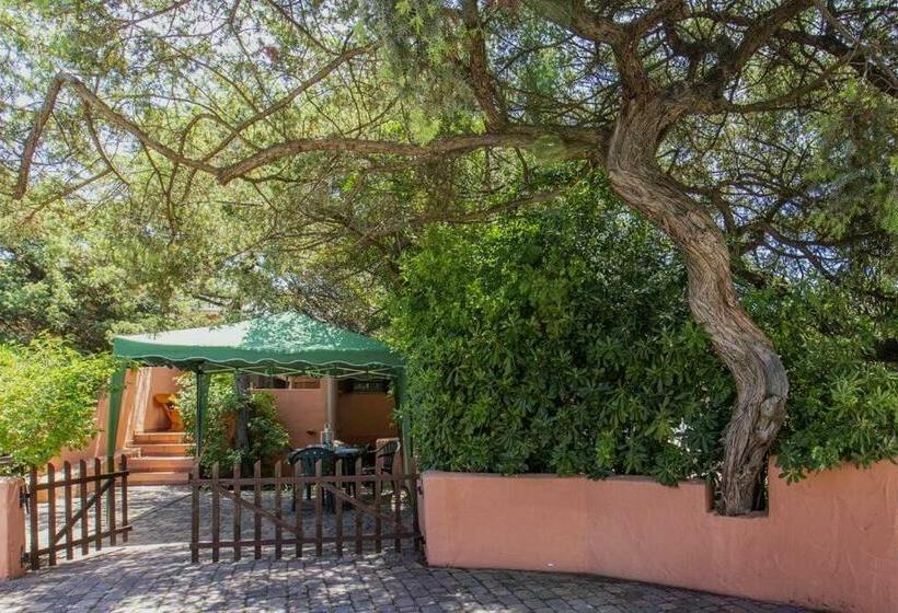 Il Ginepro E La Lantana