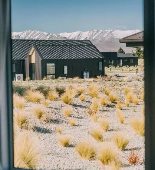 Lupin Faves Tekapo