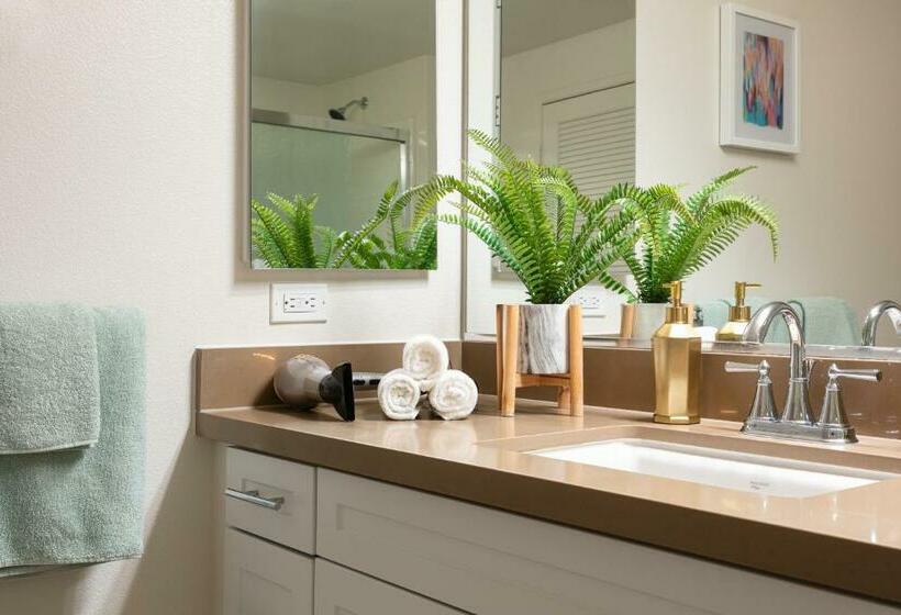 Next To John Wayne Luxury Apartment