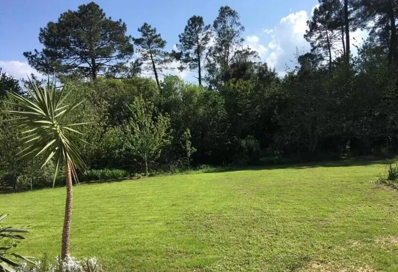 Santiago By The Sea, Entre Mar Y Campo