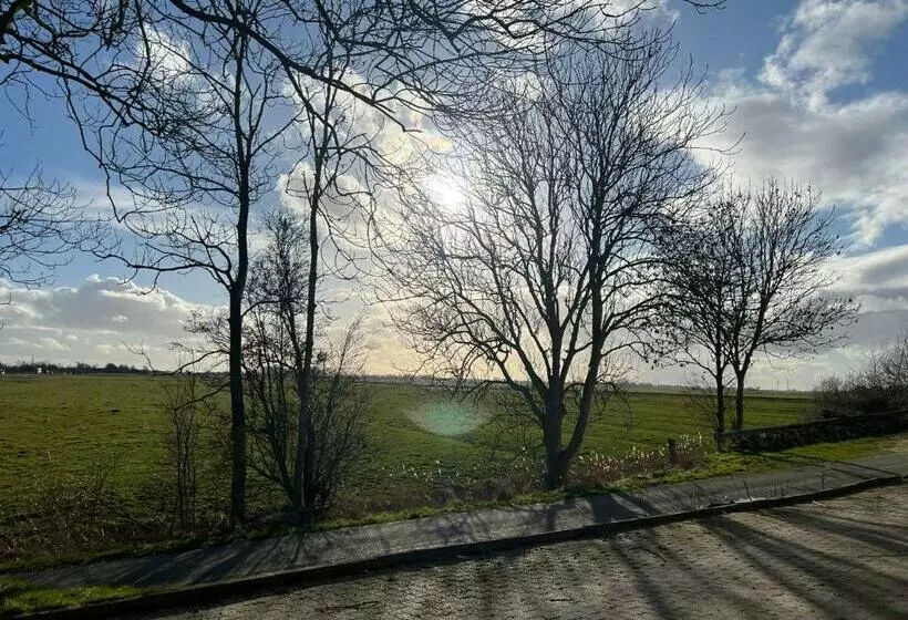 Idylle Auf Dem Reiterhof Bei Husum