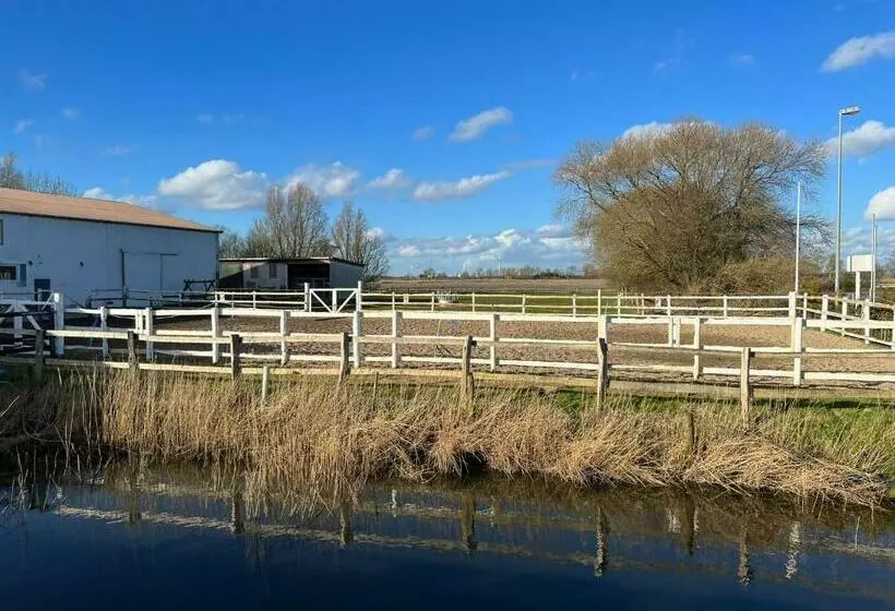 Idylle Auf Dem Reiterhof Bei Husum
