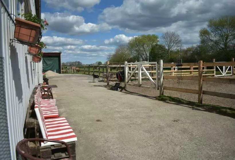Idylle Auf Dem Reiterhof Bei Husum