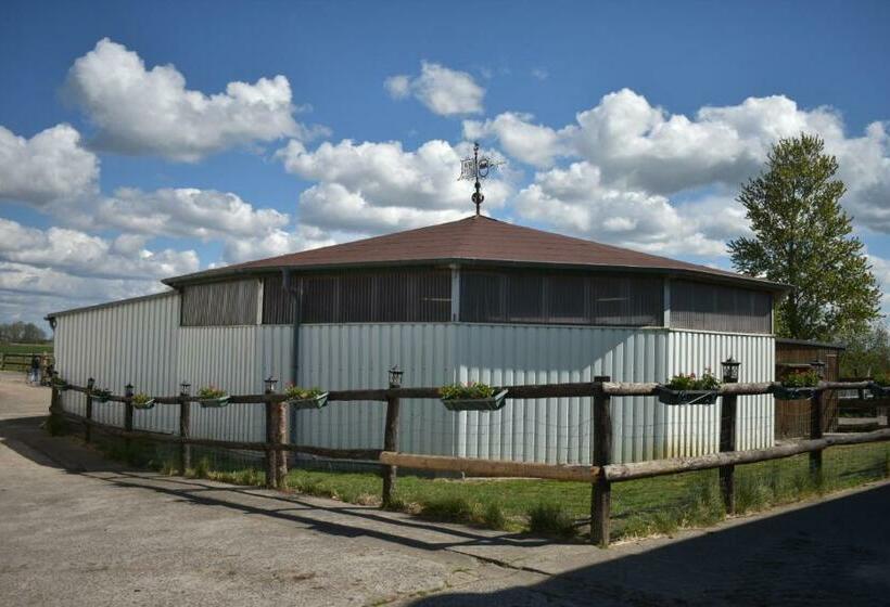 Idylle Auf Dem Reiterhof Bei Husum