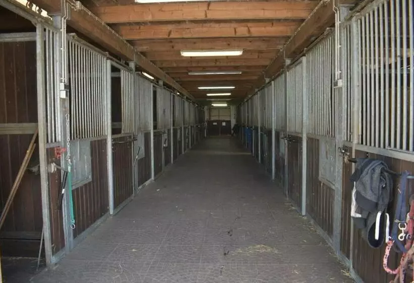 Idylle Auf Dem Reiterhof Bei Husum