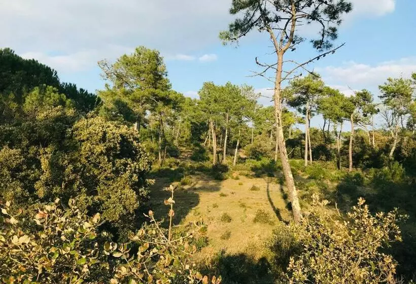 Standing, Luminosité à 100m De La Mer, T3 Prestige