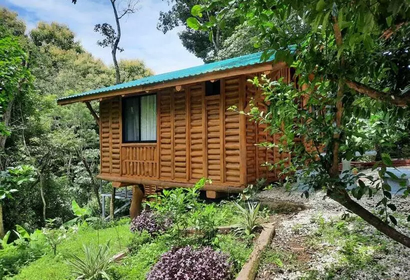 Eco Turismo Guayacanes