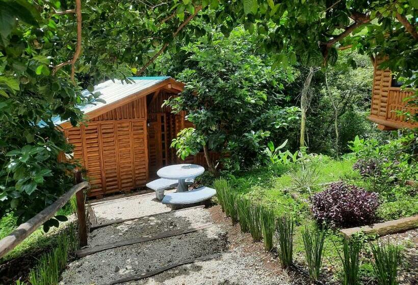 Eco Turismo Guayacanes