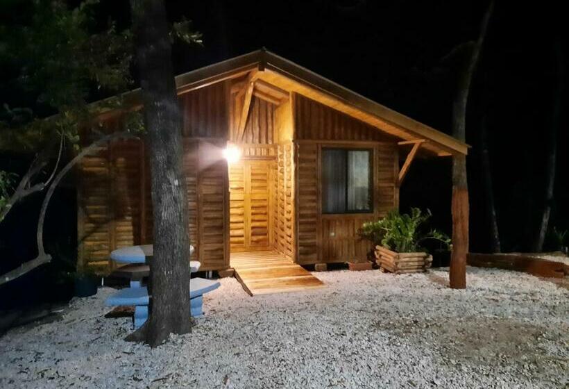 Eco Turismo Guayacanes