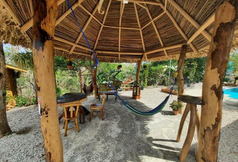 Eco Turismo Guayacanes