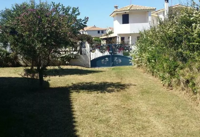 Le Pavoncelle 1